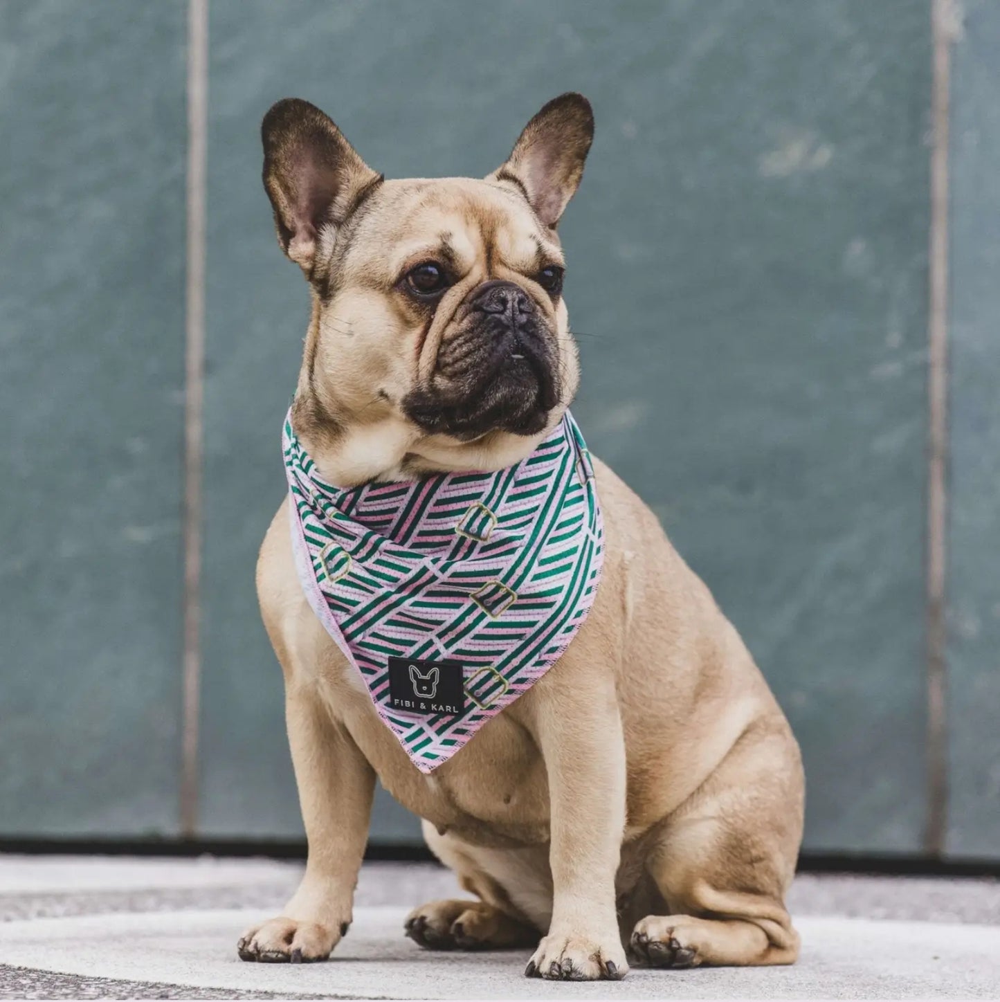 FK Beltington Power Foulard pour chien Rose💖