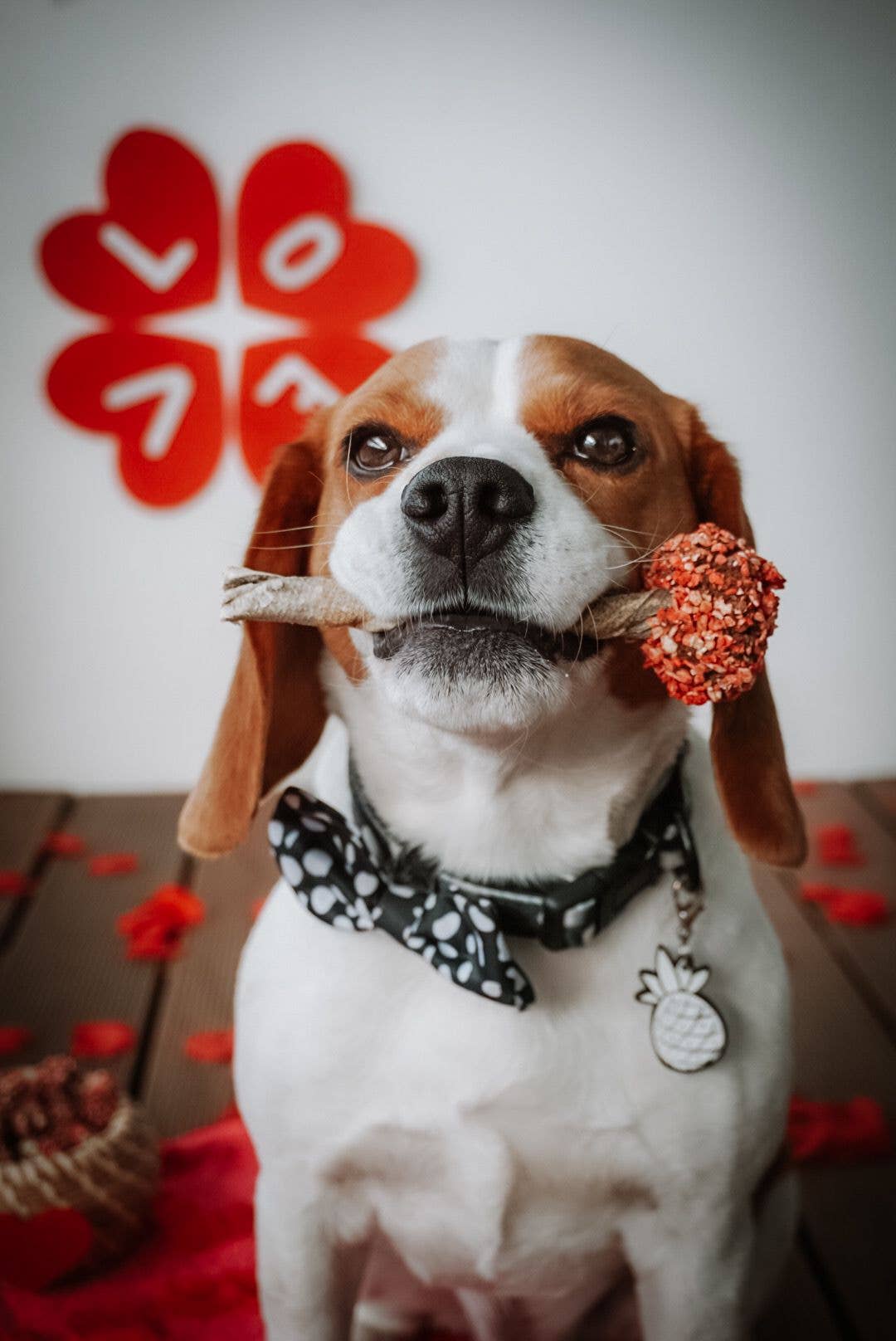 Lolliwouf Édition Saint-Valentin❤️
