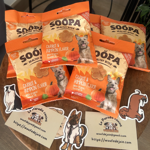 Bouchées à la citrouille et aux carottes🥕🎃