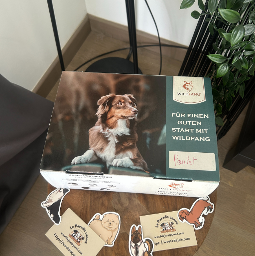 Set de cuisson pour biscuits pour chien 🍪🐶